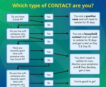 Which type of CONTACT are you?