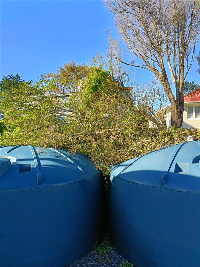 A retaining wall urgently needed behind Taku Hiahia delays opening of marae