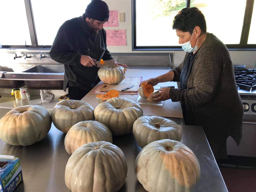 Re-establishing the foodbank at Maketū marae during lockdown